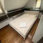 W46b Deluxe W Bielawie Gory Sowie Daire Bielawa (Dzierzoniow)