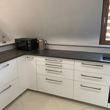 W46b Deluxe W Bielawie Gory Sowie Lejlighed
