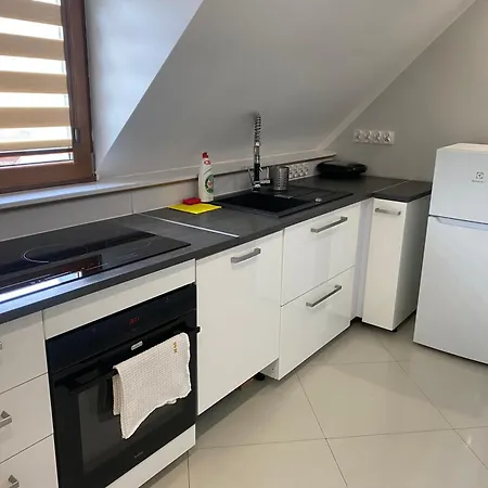 Daire W46b Deluxe W Bielawie Gory Sowie Bielawa (Dzierzoniow)
