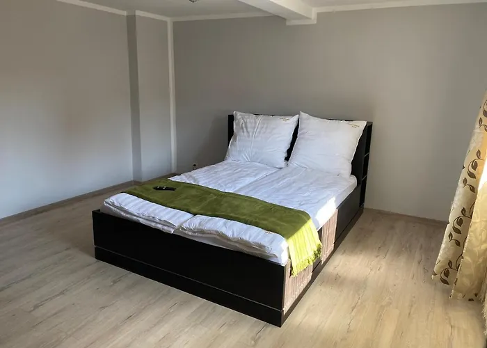 W46b Deluxe W Bielawie Gory Sowie