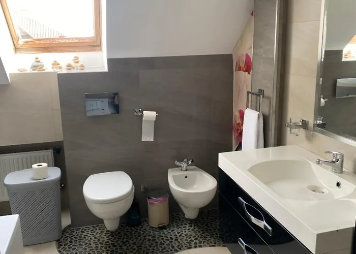 W46b Deluxe W Bielawie Gory Sowie * 비엘라와